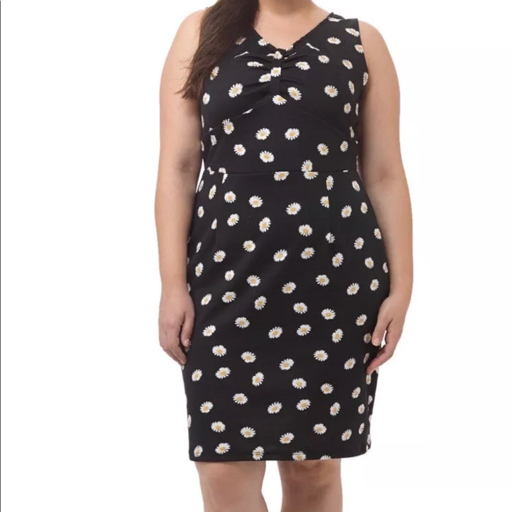 Poppy & Bloom Daisy Print Stretch Blend Size 10